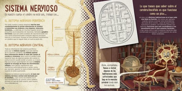 El cerebro humano. Explicado por Dr. Santiago Ramón y Cajal - Pablo Barrecheguren - Imagen 2
